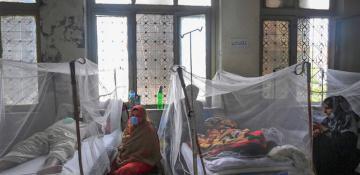 11 new dengue cases reported in Pakistan's capital 