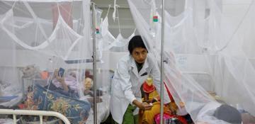 Bangladesh records highest single-day toll of 6 dengue deaths 