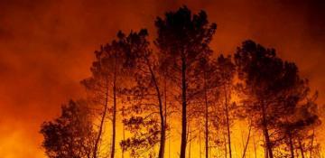 Over 50 firefighters battle expanding wildfire in Bulgaria’s Rila Monastery Park