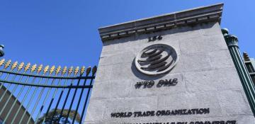 China supports Beijing to pilot WTO e-commerce agreement 