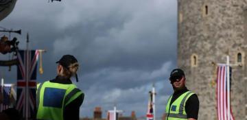 Indonesia foils illegal trade of 16 protected raptors 