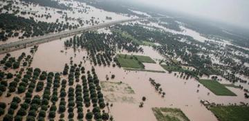 Floods devastate 1.3 million acres of crops in Punjab