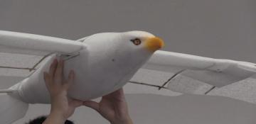 Chinese engineers design innovative robot that takes off like a bird 