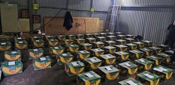 Russia seizes 1,515 kg of cocaine 