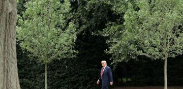 After diplomatic blitz on Ukraine and Gaza, Trump moves to passenger seat 