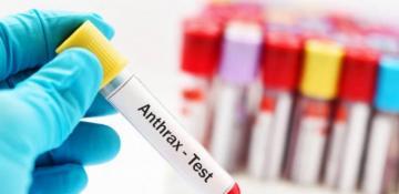 Human anthrax case confirmed in central Mongolia