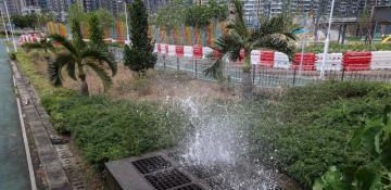 Hong Kong braces for Super Typhoon Ragasa; schools, businesses shut - VIDEO