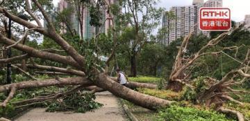 Ex-HKO Chief says Super Typhoon Ragasa stronger than Mangkhut