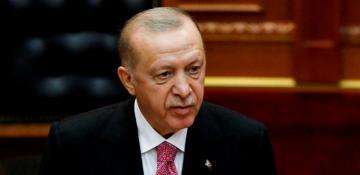 Turkish President hails UN Security Council members’ recognition of Palestine as ‘historic’