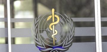 WHO says no link found between autism and paracetamol use in pregnancy 