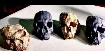 Million-year-old skull discovery in China challenges timeline of human evolution