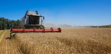 Kazakhstan boosts grain supplies to Azerbaijan