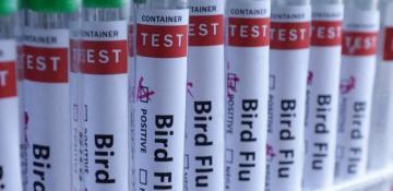 UK records H5N1 bird flu outbreak in southwestern England