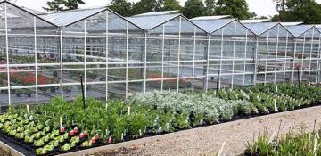 Zimbabwean president urges increased horticulture production to boost export 