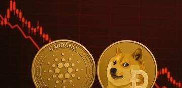 While Cardano and Dogecoin battle for market share, new crypto presales are shining as the next crypto to invest in 