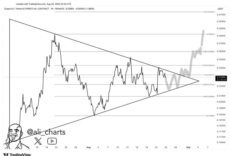 News about - Dogecoin price slides towards $0.20 as Remittix could be the next Shiba Inu with 100x gains