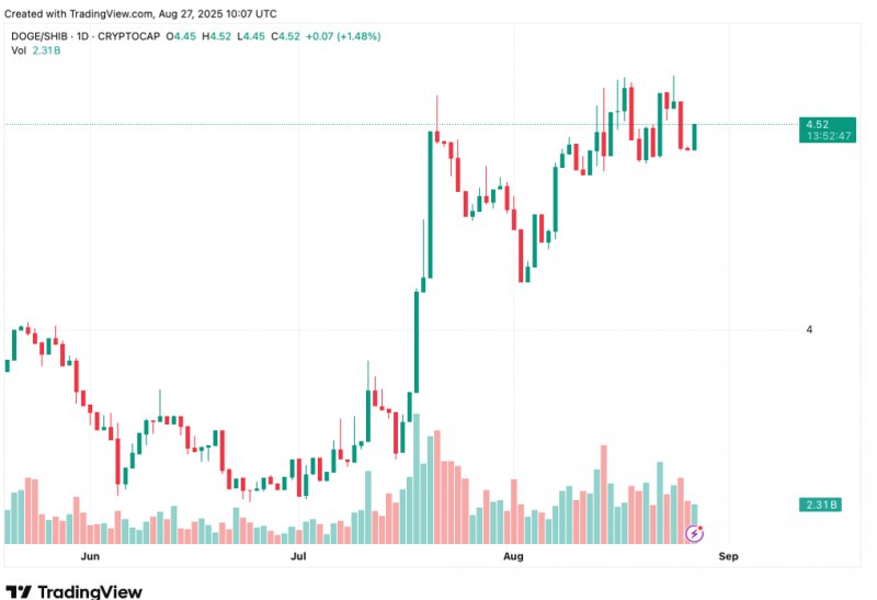 2025/09/scree-1756895641.jpg + Shiba Inu news; Dogecoin price prediction & best altcoins to buy in August for maximum profit News about - Shiba Inu news; Dogecoin price prediction & best altcoins to buy in August for maximum profit