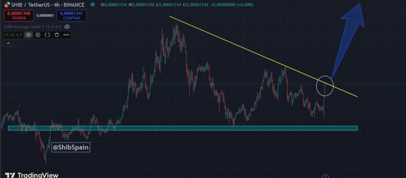 News about - Shiba Inu price prediction: Could this new altcoin surpass early SHIB investors 1,000x gains in 2026?
