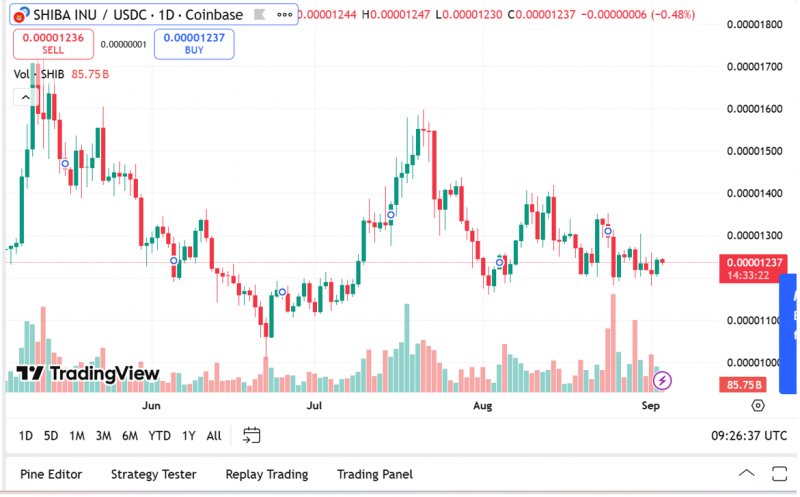 News about - Dogecoin price prediction and SHIB forecast look bearish as analysts back Remittix for 50x gains by January