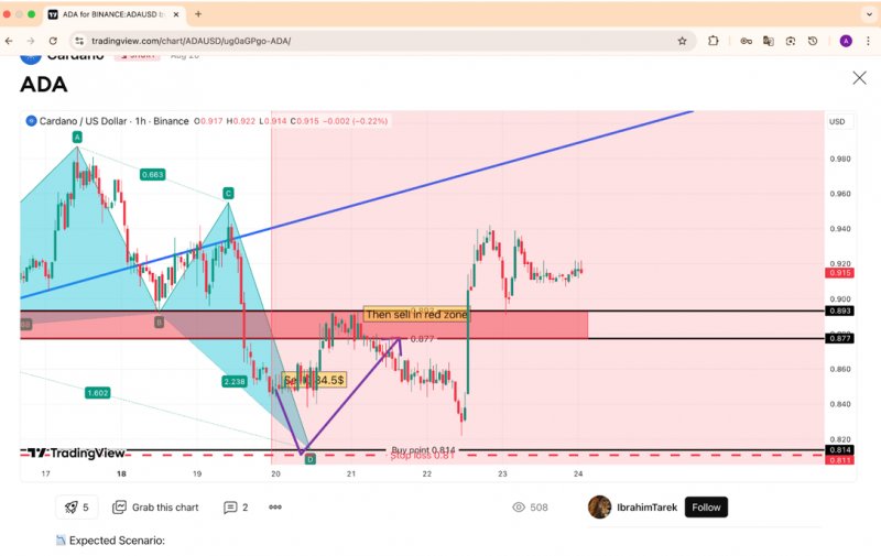 News about - ADA price declines while Cardano struggles to hold support & Remittix captures whales with 4,500% potential