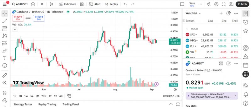 News about - Cardano price faces headwinds as investors turn to this altcoin tipped among the best investments in 2025