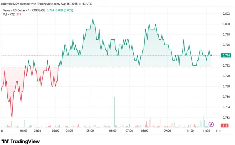 News about - 3 Cardano alternatives expected to outperform ADA by 10–50x this bull run
