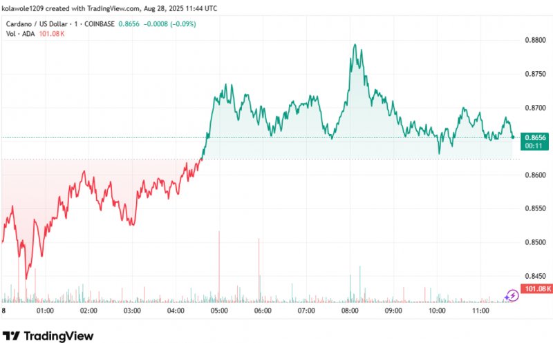News about - 3 Cardano alternatives expected to outperform ADA by 10–50x this bull run