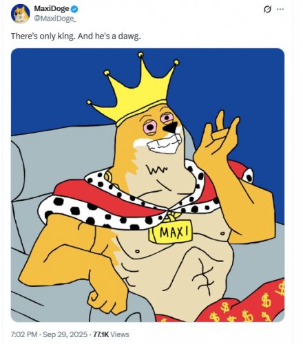 News about - Dogecoin price forecast — Market debates if DOGE can end the year as the best crypto to buy