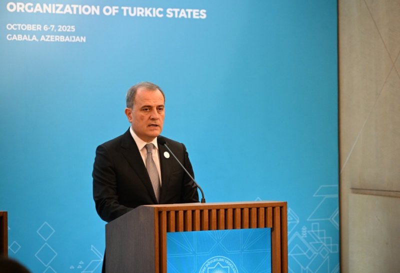 Azerbaijani FM says economic cooperation key focus of Gabala summit