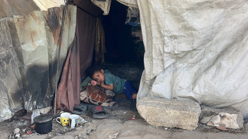 Pro-Gaza charity says Israel blocking 250 tons of aid bound for Gaza via Jordan 