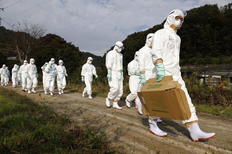 Japan confirms season's first bird flu outbreak in Hokkaido