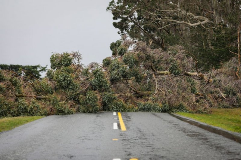 Severe winds slam New Zealand as state of emergency declared in Canterbury