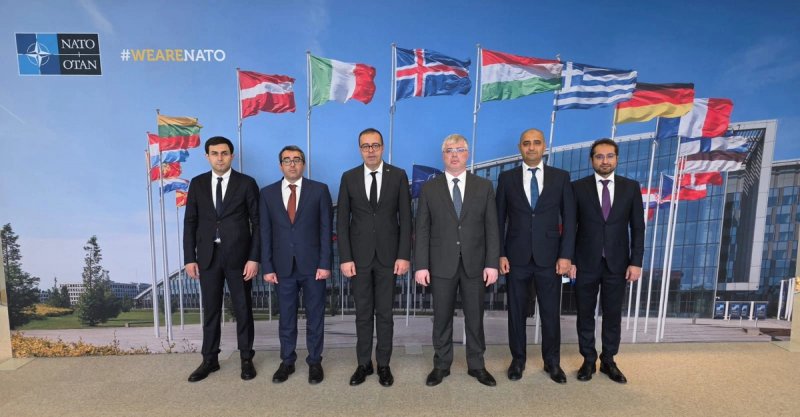 Azerbaijan, NATO discuss expanding demining and security cooperation