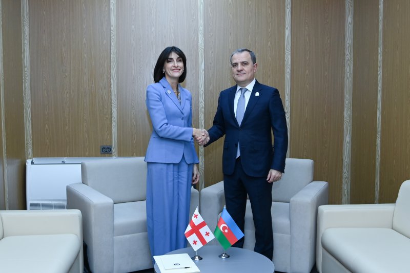 Azerbaijani, Georgian FMs discuss strategic ties, key regional issues