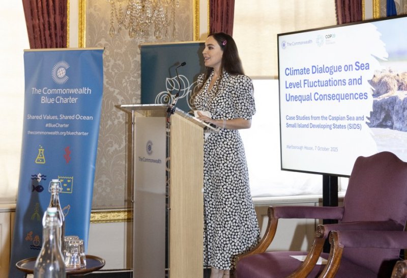 Heydar Aliyev Foundation VP Leyla Aliyeva highlights Caspian Sea protection at London climate event