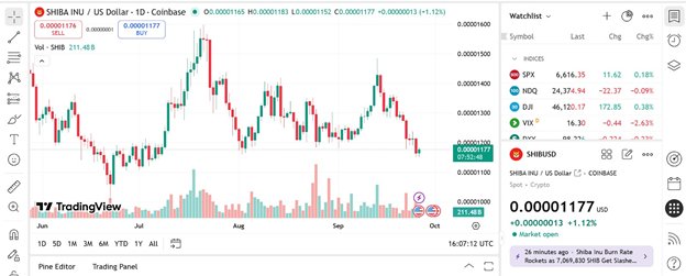 News about - Dogecoin price prediction: SHIB tops Meme coin trending charts as Remittix wins top utility altcoin