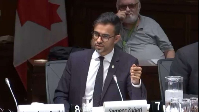 Canadian MP calls for vetting measures for Israeli veterans