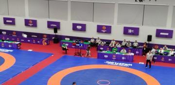 Azerbaijani Greco-Roman wrestlers win another gold at 3rd CIS Games