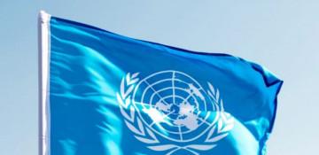 Houthis detain 9 UN staff 