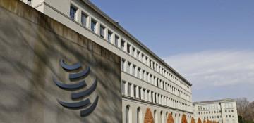 WTO upgrades 2025 global trade growth