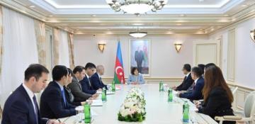 Azerbaijani Speaker meets TURKPA chief to discuss stronger Turkic cooperation 