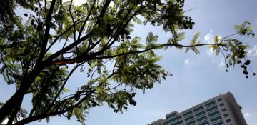 Wipro shares slide over 4% after Q2 results; Jefferies calls risk-reward ‘unattractive’ 