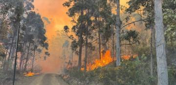 Australia’s Tasmania region on alert as uncontrolled bushfire rages
