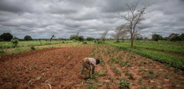 China launches $3.5 million food aid project to support drought-stricken Zambia