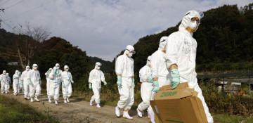 Japan confirms season's first bird flu outbreak in Hokkaido