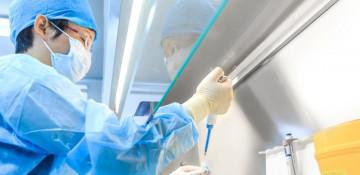 Taiwan confirms first cases of African swine fever