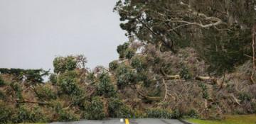 Severe winds slam New Zealand as state of emergency declared in Canterbury