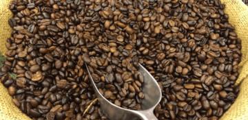 China among top markets for Ethiopian coffee