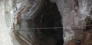52 giant panda fossils found in Asia's longest cave 
