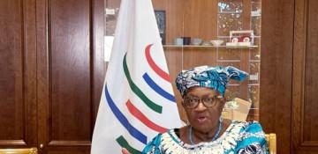 WTO chief calls for reform of consensus rule amid global trade disruption